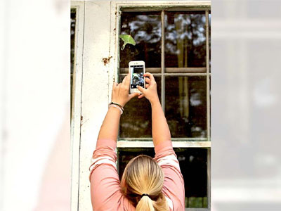 Gabrielle Dalton taking a picture of luna moth on a window