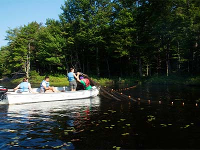 Students pulling trap nets