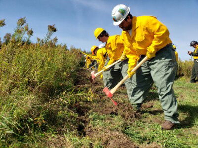 Students digging a drench