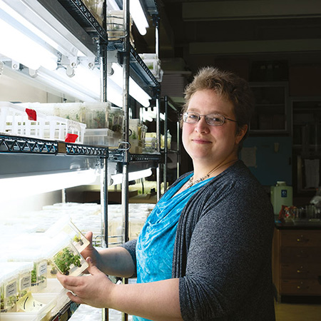 Researcher holding Elm Tree sapling in the lab