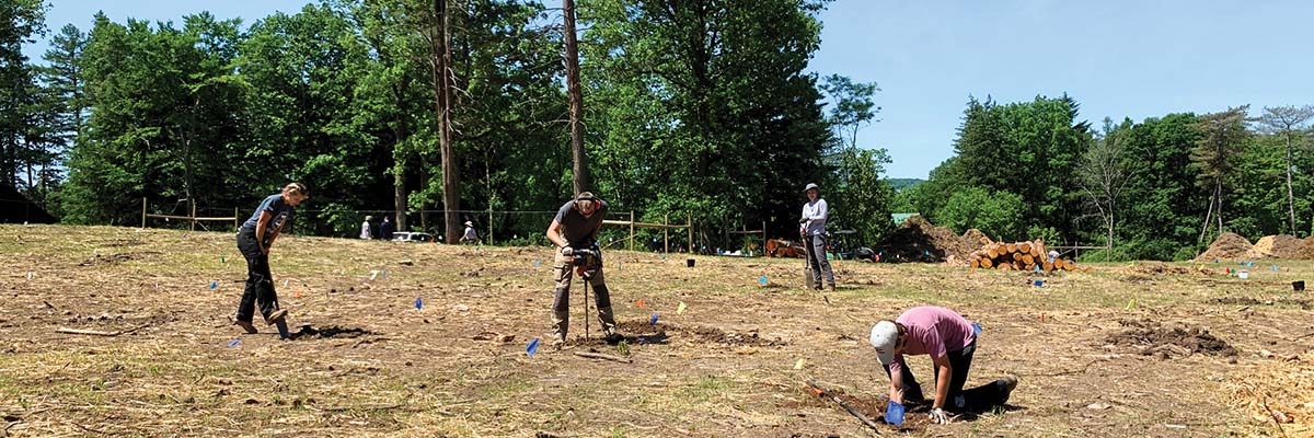 Volunteers planting American Chestnut seedlings at Lafayette Road Experiment Station