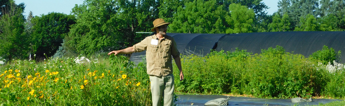 Sam Quinn in a meadow