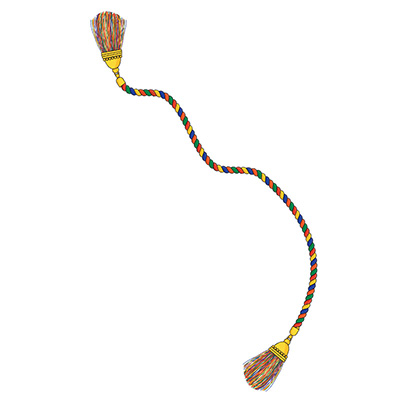 Rainbow cord icon