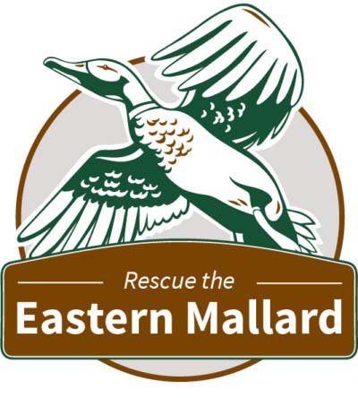 Rescue the eastern mallard logo