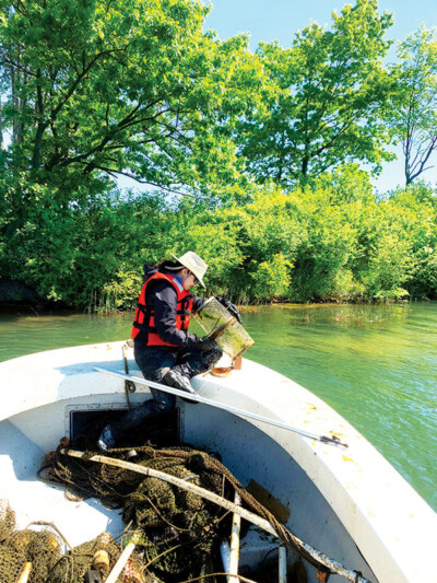 Iman Pakzad collecting samples