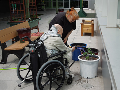 Dr. Lee Newman showing a veteran in wheelchair how to plant seedlings