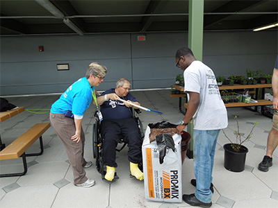 A veteran working in the roof top garden